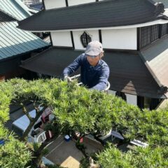 相田造園（小田原市）相田雄介