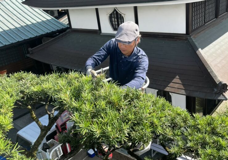 相田造園（小田原市）相田雄介