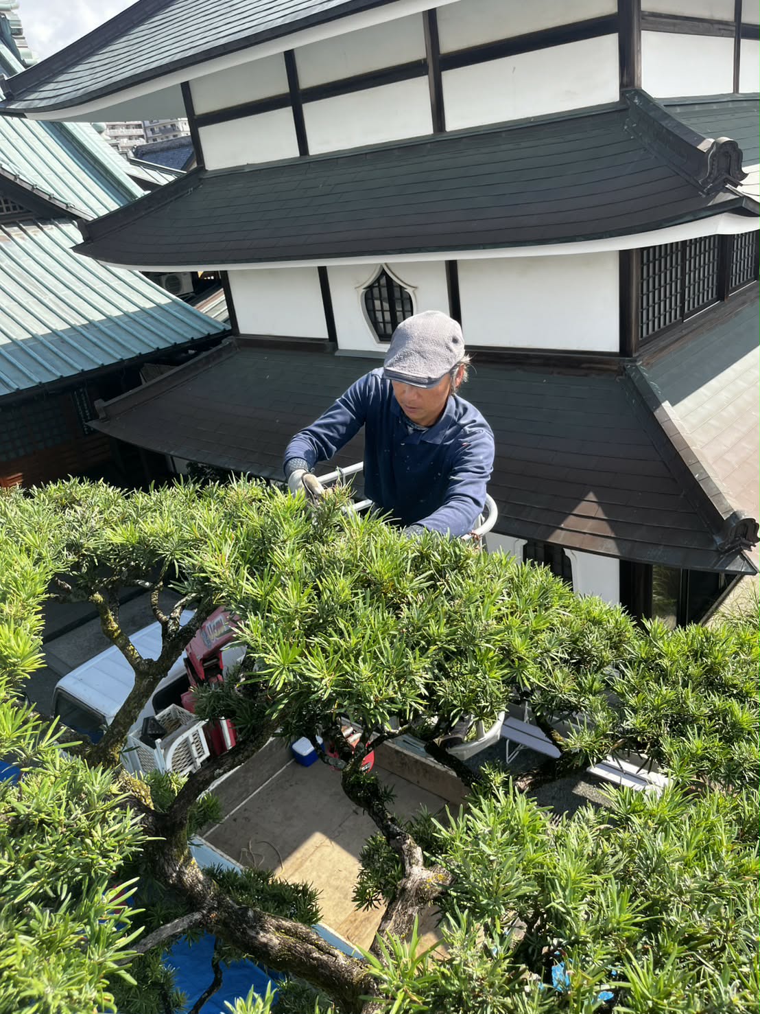 相田造園（小田原市）相田雄介